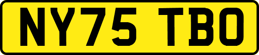 NY75TBO