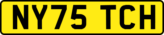 NY75TCH