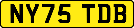 NY75TDB