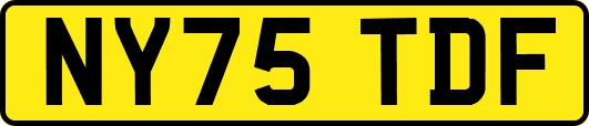 NY75TDF