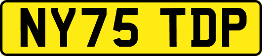 NY75TDP
