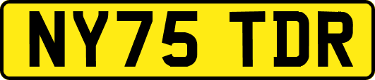 NY75TDR