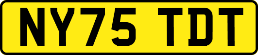 NY75TDT