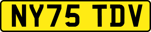 NY75TDV
