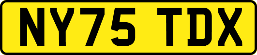 NY75TDX