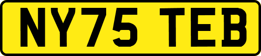 NY75TEB