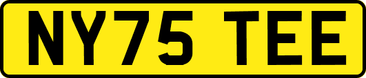 NY75TEE