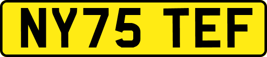 NY75TEF