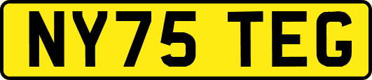 NY75TEG