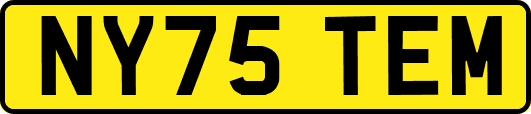 NY75TEM