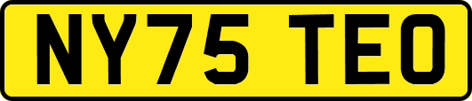 NY75TEO
