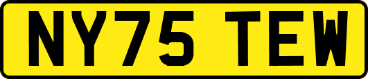 NY75TEW