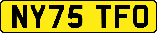 NY75TFO