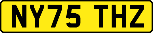NY75THZ