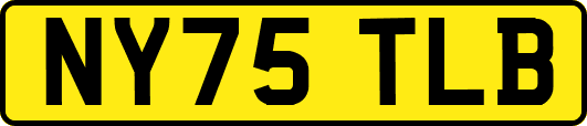 NY75TLB