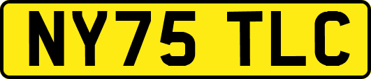 NY75TLC