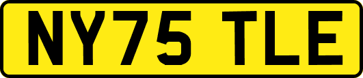 NY75TLE