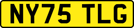 NY75TLG