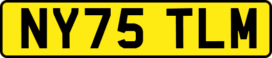 NY75TLM