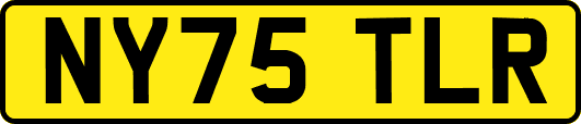 NY75TLR
