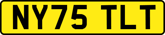 NY75TLT