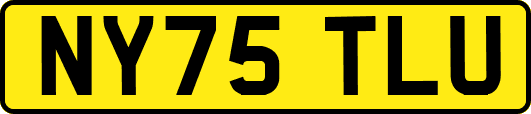 NY75TLU