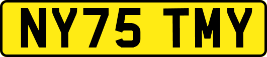 NY75TMY