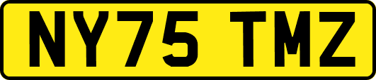 NY75TMZ