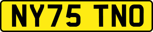 NY75TNO