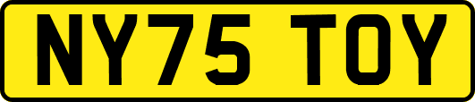 NY75TOY