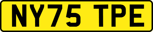 NY75TPE