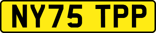 NY75TPP
