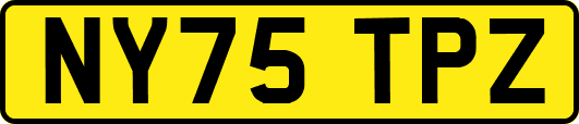 NY75TPZ