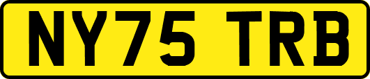 NY75TRB