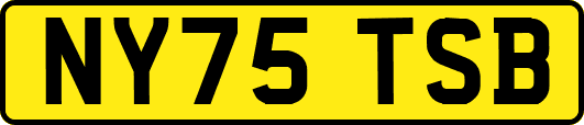 NY75TSB