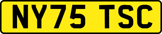 NY75TSC