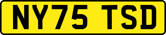 NY75TSD