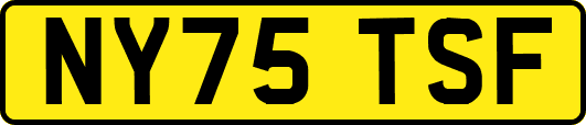 NY75TSF