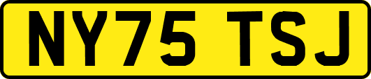 NY75TSJ