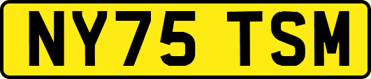NY75TSM