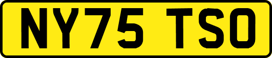 NY75TSO