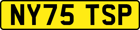 NY75TSP