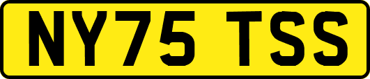 NY75TSS