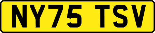 NY75TSV