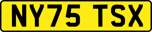 NY75TSX