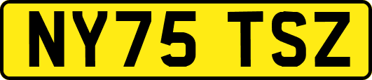 NY75TSZ