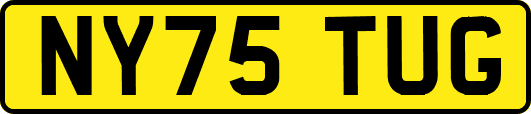 NY75TUG