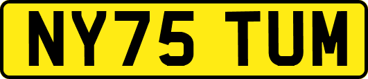NY75TUM