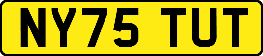 NY75TUT
