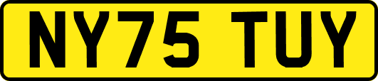 NY75TUY